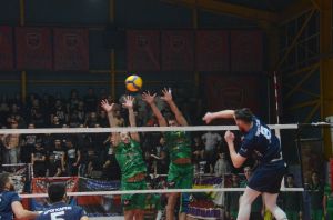 paniwnioskalamata80f3_result